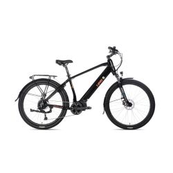 T-Bird Golden Gate 540Wh High Frame black