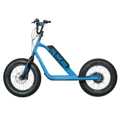 RMS Electric Scooter 20F-X blue
