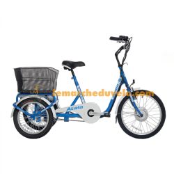 Cargo / trike