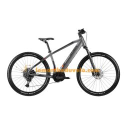 Semi-rigid mountain bike