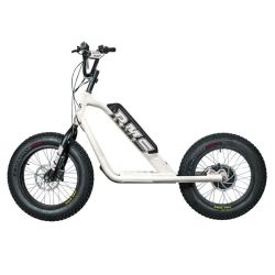 RMS Electric Scooter 20F-X white