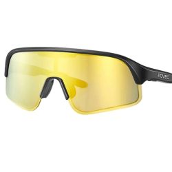 Povec electrochromic glasses, gold lenses, black frames