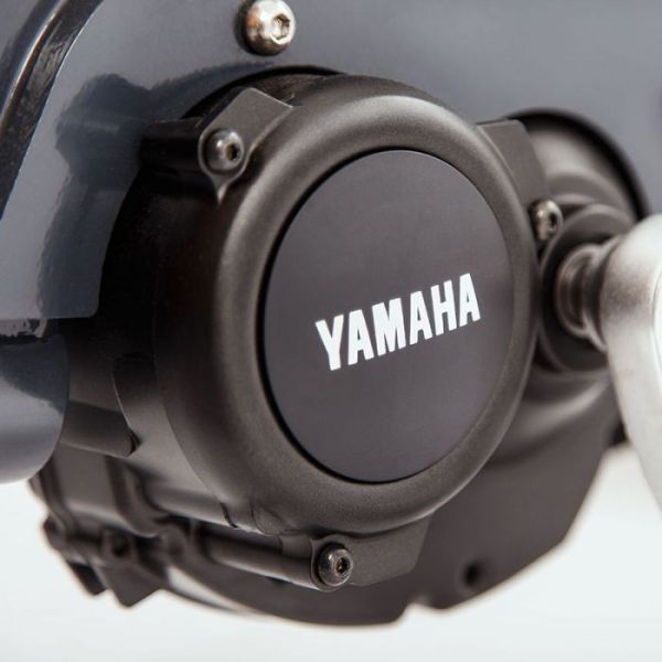 Babboe Curve Mountain 500Wh (reconditionned grade A)