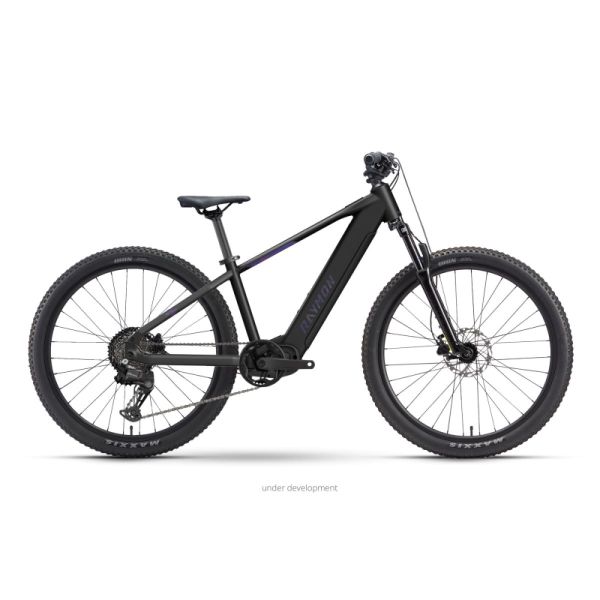 Raymon Zorq Pure 26"
