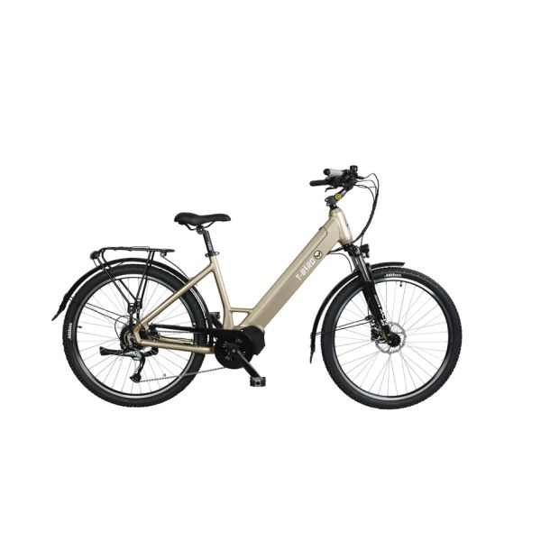 T-Bird Golden Gate 500Wh Low frame